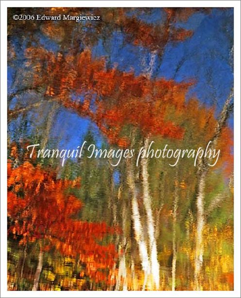 660101C---Reflections in Council Lake, Hiawatha National Forest.